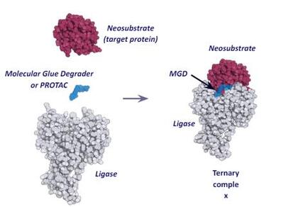 viswanathan research 02